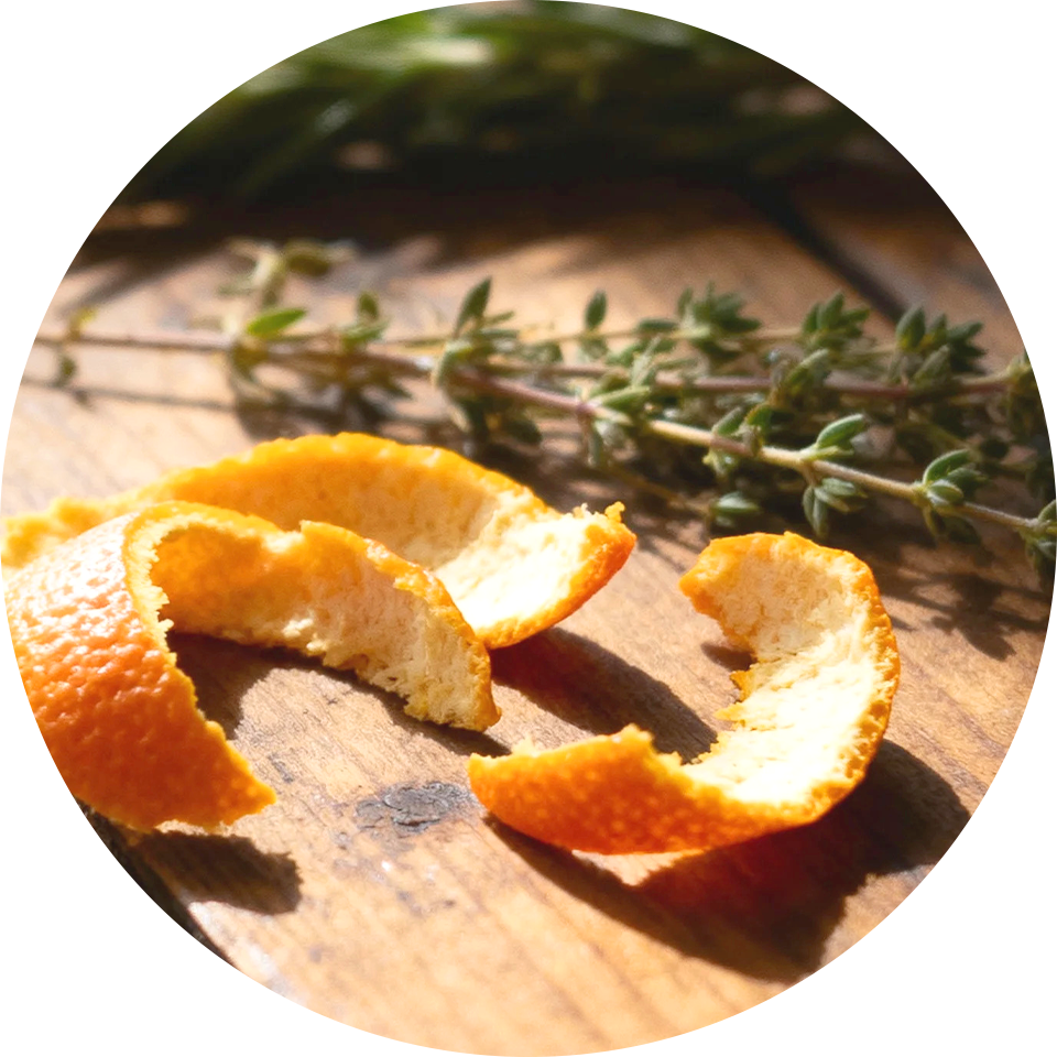 �`���s�G�L�X