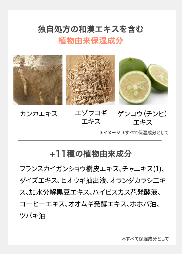 ラボモ シルキーソフト ローション（レディース育毛剤・薬用育毛